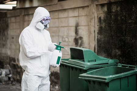 Control de plagas. Foto Freepik