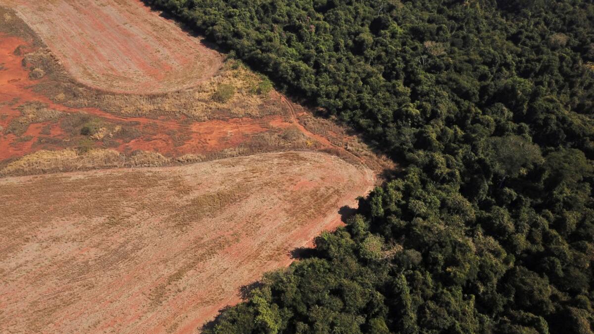 Deforestación en Amazonia. Foto: NA.