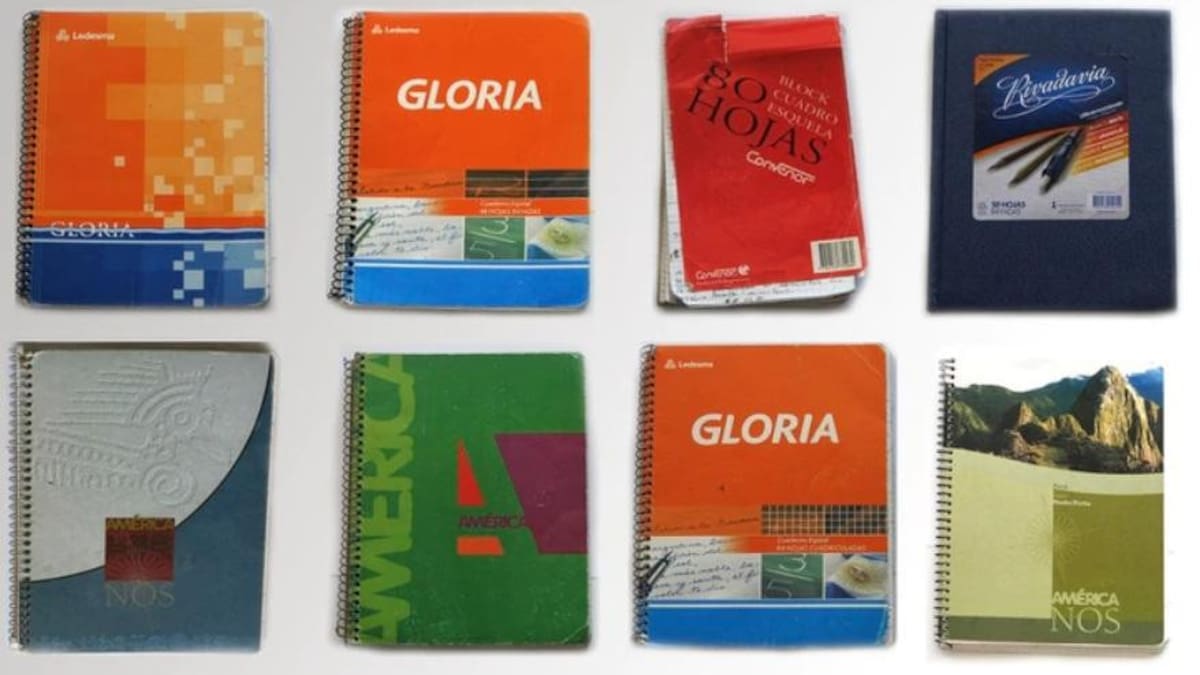 La justicia recibió seis cuadernos y analiza si son los originales de Centeno