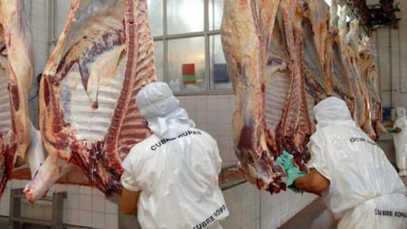 Carne, frigorífico, carne argentina, NA