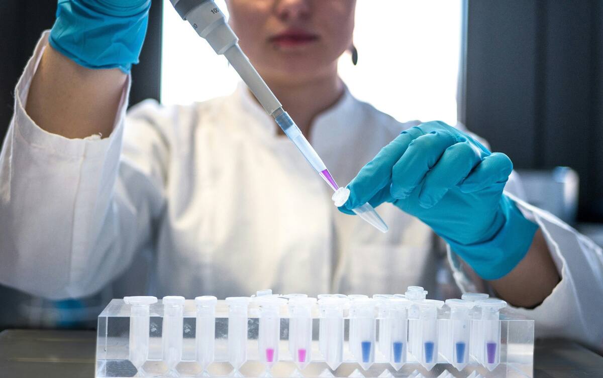 Laboratorio. Foto UNSPLASH