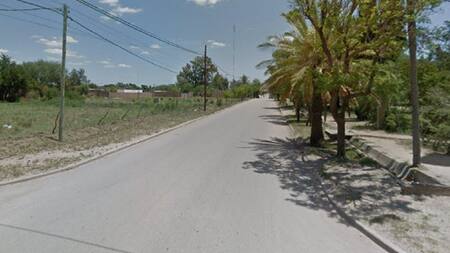 Misterio por gorila suelto en San Luis