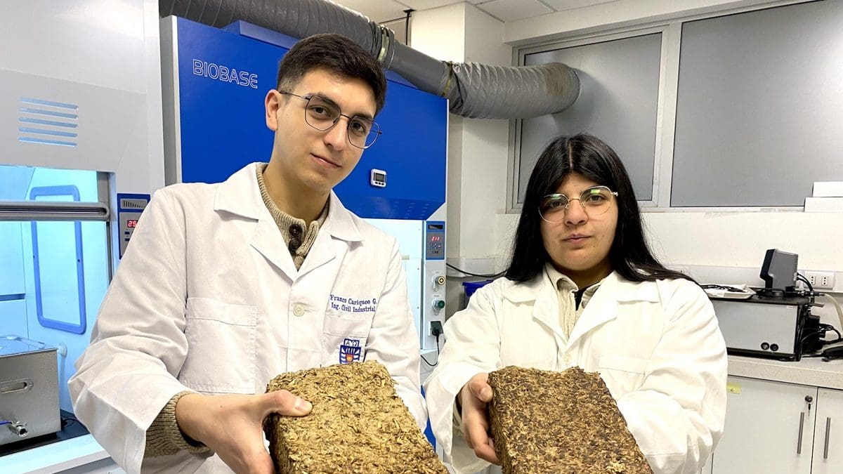Lucha contra la contaminación: jóvenes chilenos convierten desechos peligrosos en combustible ecológico