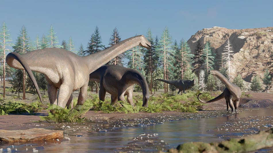 Nuevo hallazgo de especie de dinosaurio. Foto: Conicet