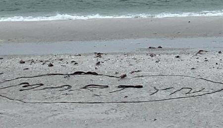 El último adiós a Martyn Clarke. Foto: NA