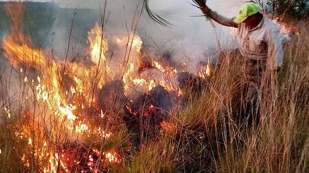 Por los incendios en Corrientes, Gustavo Valdés declaró "zona de catástrofe": “Solo la naturaleza podrá apagar el fuego”