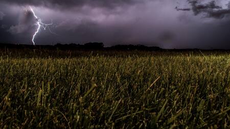 Lluvia; cultivo; sequía. Foto: Unsplash (Eugene Triguba)