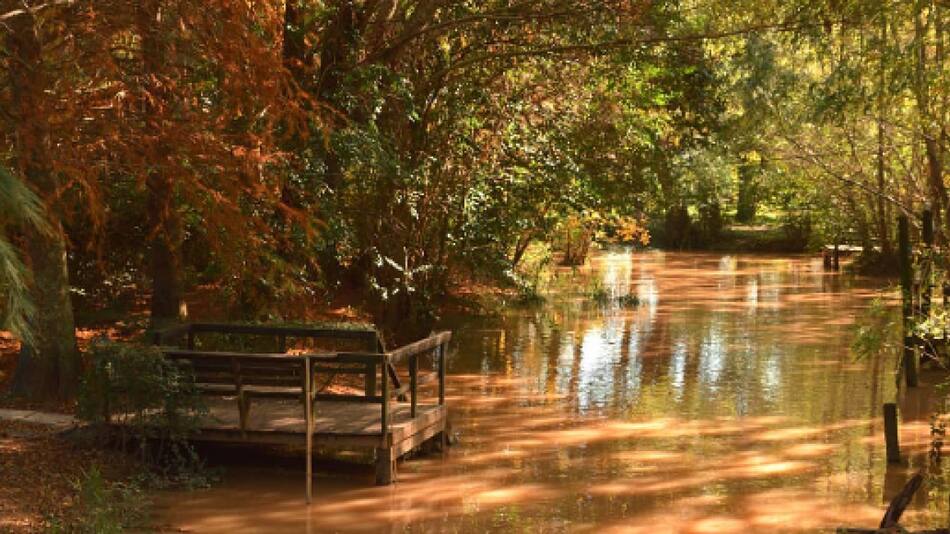 Tigre. Foto: @turismotigre
