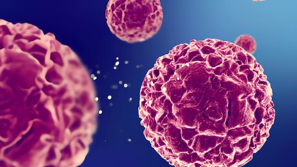 Día Internacional de la Concientización del VPH: desafíos y reflexiones sobre la prevención del virus