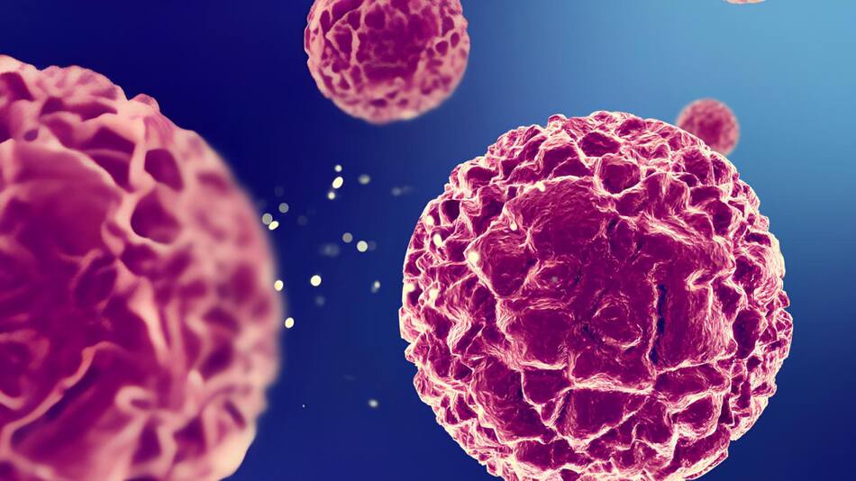 Día Internacional de la Concientización del Virus del Papiloma Humano. Foto: IEFS.