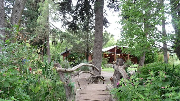 Córdoba esconde un “bosque mágico” con cafetería, precios accesibles y una feria de artesanías: cómo llegar