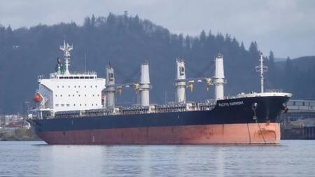 Buque cerealero INA-LOTTE. NA