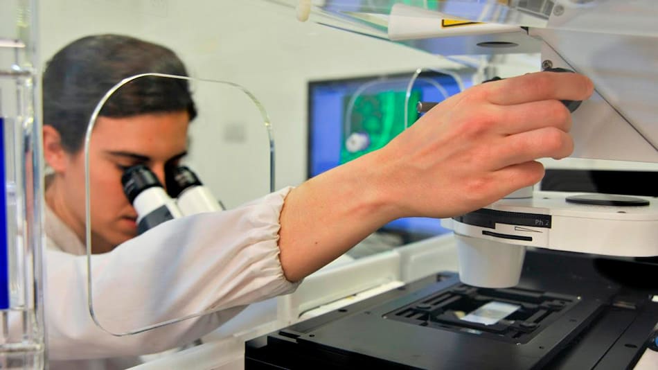 Investigadores del CONICET.