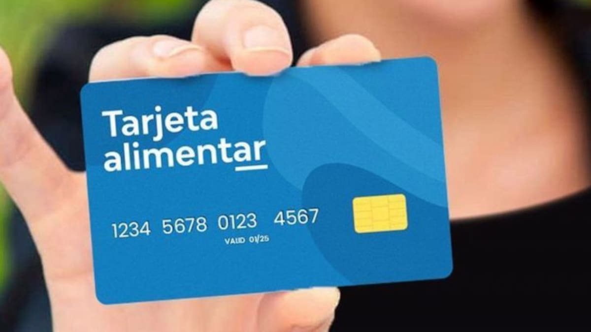 Mi ANSES: cómo ingresar al portal de la Tarjeta Alimentar en junio 2026 y montos actualizados