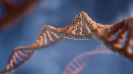 Sorprendente hallazgo científico: descubren una tecnología para editar genéticamente a los humanos