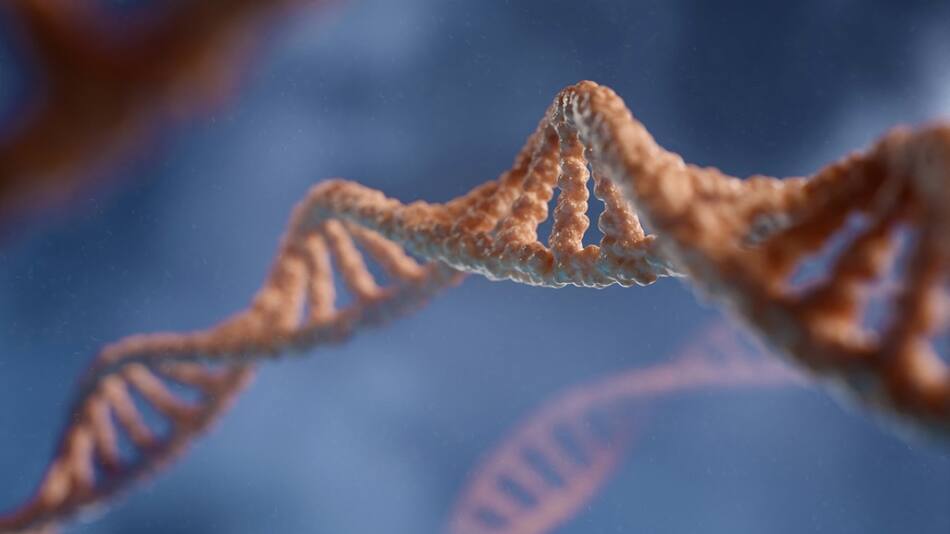 ADN; cromosoma; genética. Foto: Unsplash.