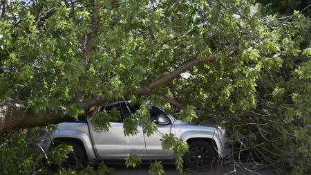 Trágico temporal en Bahía Blanca. Foto: Télam