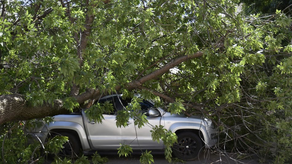 Trágico temporal en Bahía Blanca. Foto: Télam