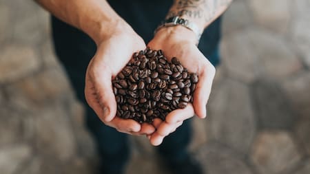 Granos de café. Foto: Unsplash.
