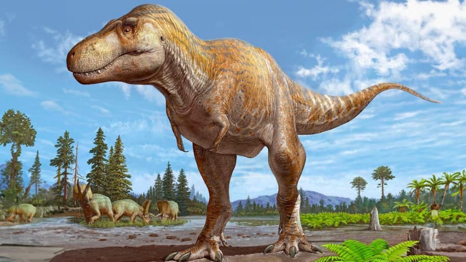 Tyrannosaurus mcraeensis. Foto: Télam.