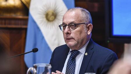 Jorge Faurie, ministro de Relaciones Exteriores de Argentina, Gobierno, NA