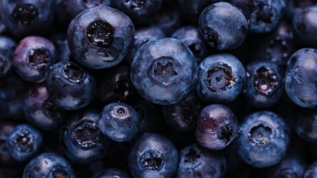 Alimentación natural: los múltiples beneficios de comer arándanos para la salud