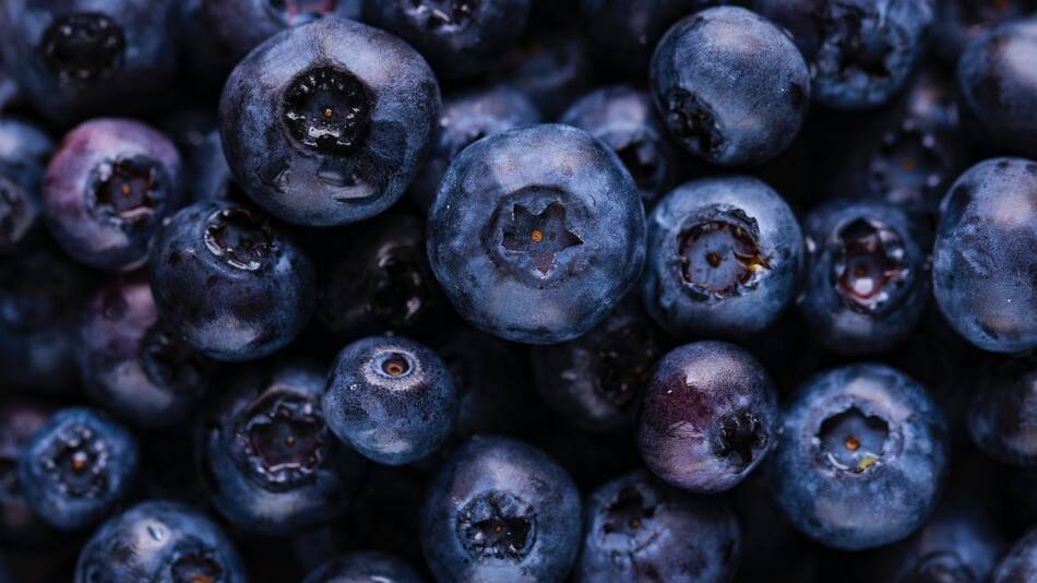 Arándanos. Foto: Unsplash, gentileza, Joanna Kosinska
