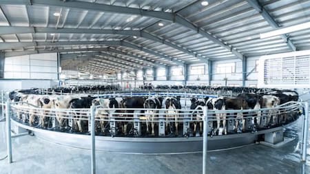 Empresa De Laval. Foto: De Laval.