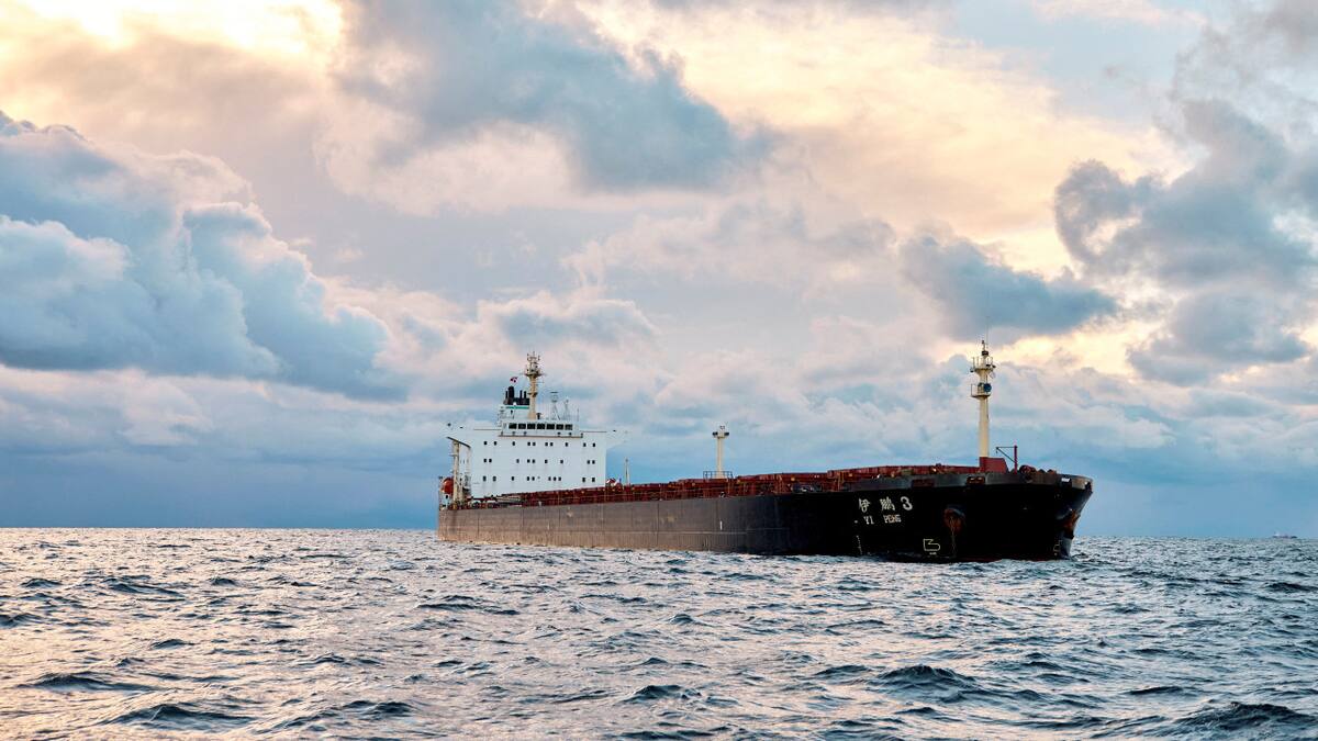 El barco chino Yi Peng 3. Foto: Reuters.