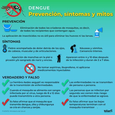 Dengue. Infografía: Télam