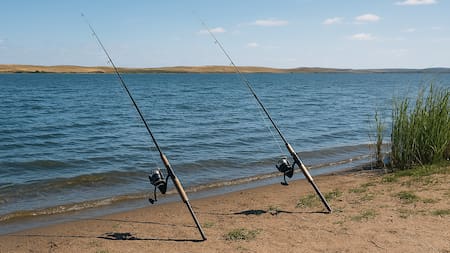 Sin pescar hasta el 2027: el desafío de un balneario bonaerense para recuperar su identidad turística y pesquera