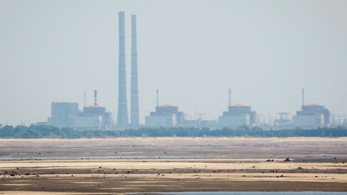 Central nuclear de Zaporiyia. Foto: REUTERS/Alina Smutko.