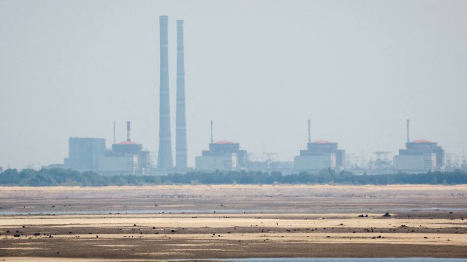Central nuclear de Zaporiyia. Foto: REUTERS/Alina Smutko.