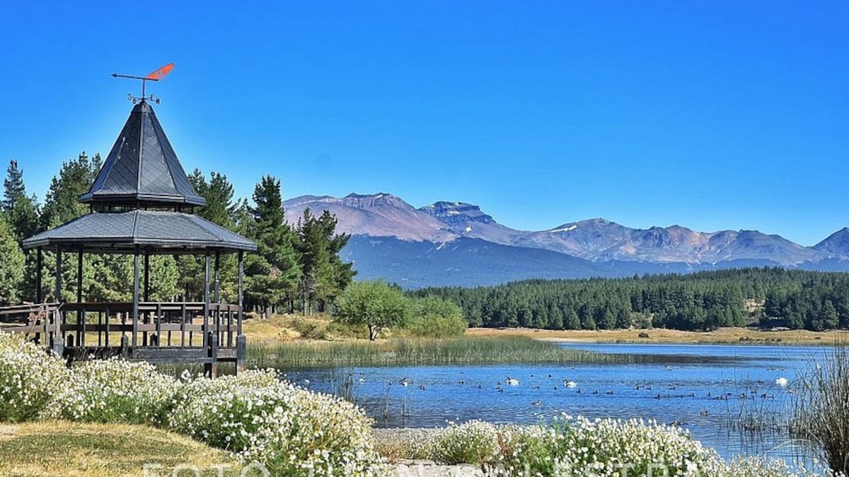 Un oasis de silencio y relajación: la laguna poco conocida perfecta para pescar pejerrey en los meses más fríos del año