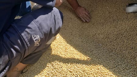 Soja importada: Paraguay confirmó la denuncia realizada por la Aduana argentina. Foto: Aduana.