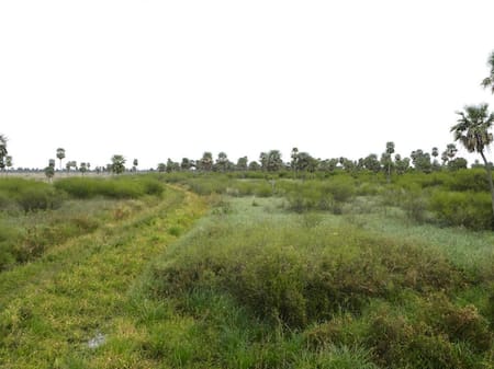 Parque Nacional Chaco. Foto: argentina.gob.ar