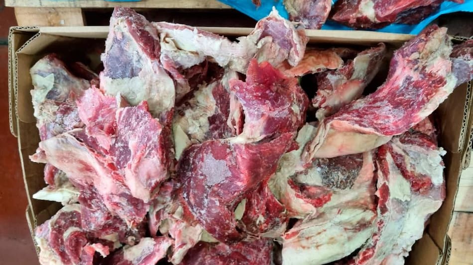 Operativo de Aduana en frigorífico. Foto: Aduana