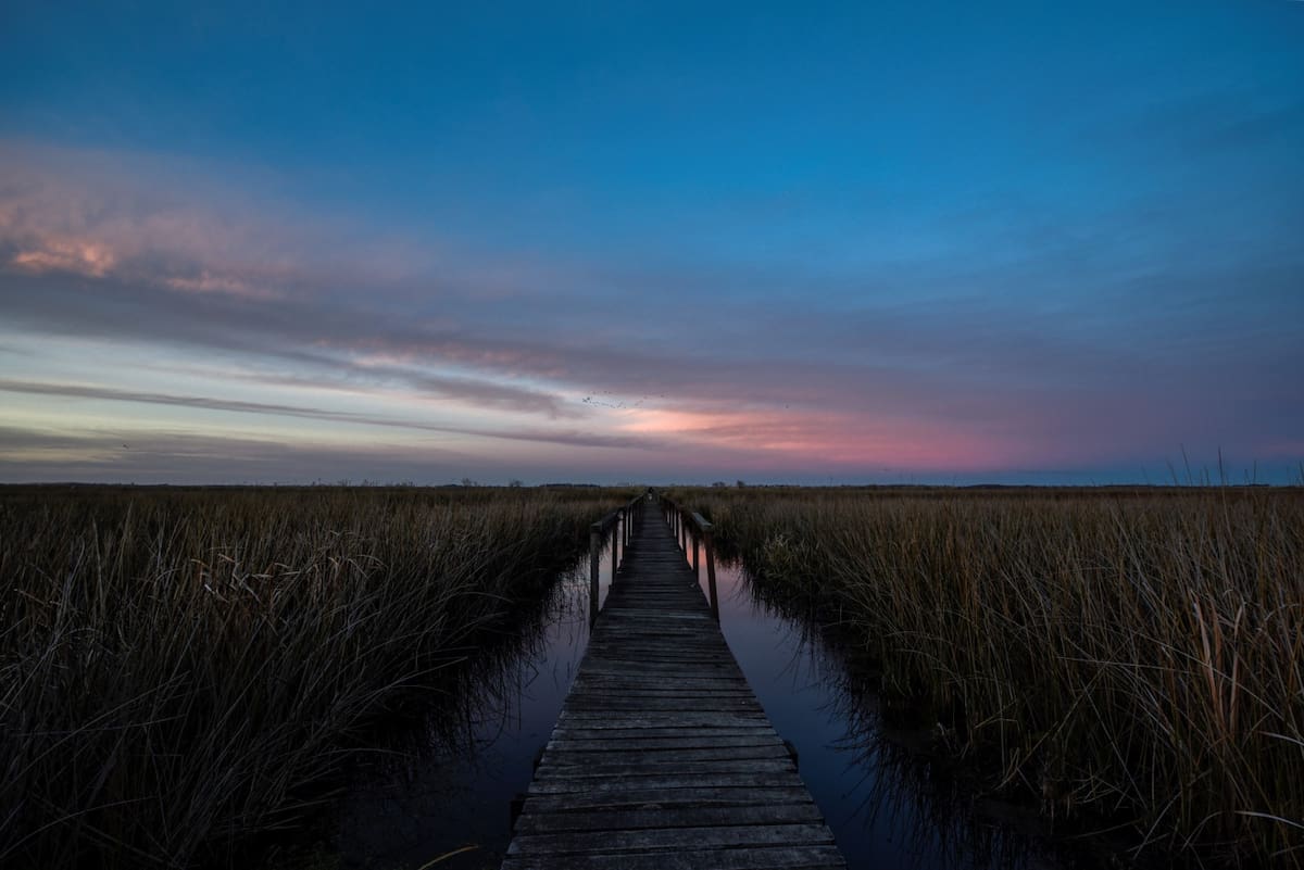 Ubicado en Campana, este espacio natural resguarda humedales del Delta del Paraná y es uno de los pulmones verdes más importantes de la Provincia de Buenos Aires.