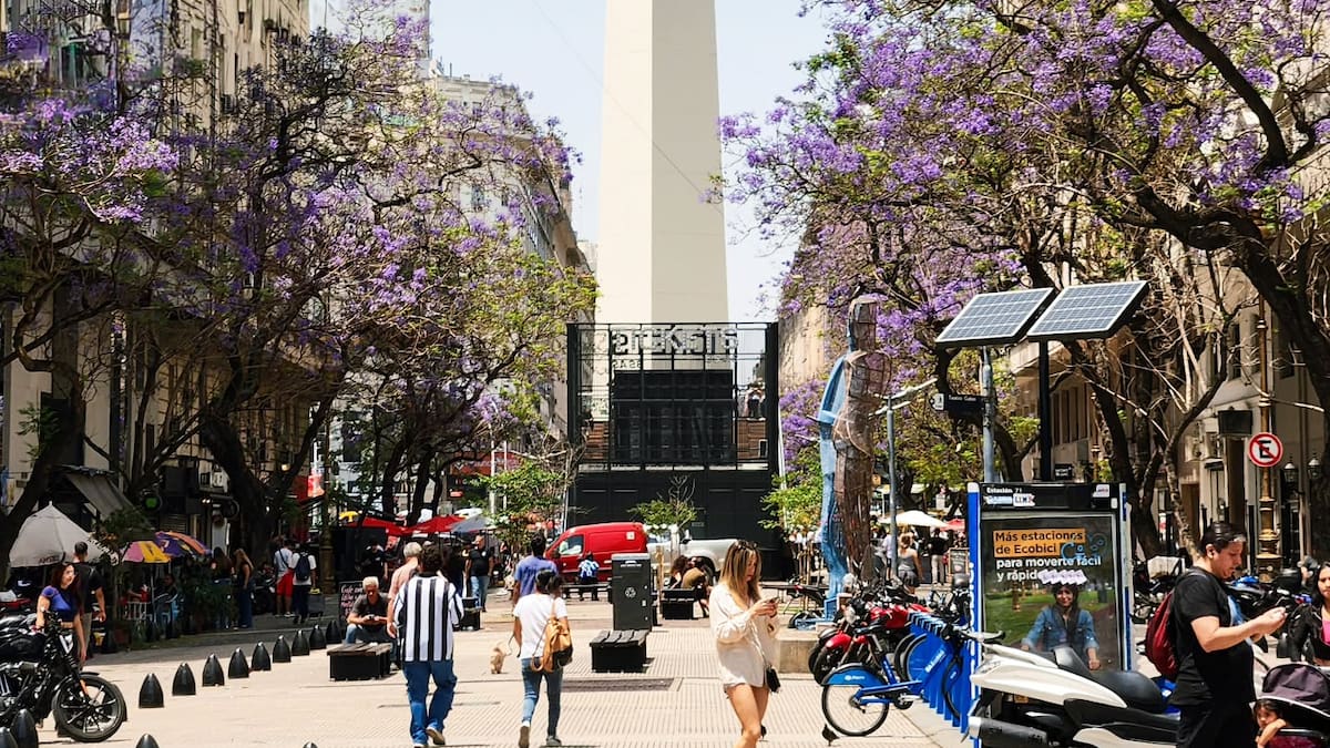Buenos Aires se tiñe de violeta: cuándo florecen los jacarandás y cuáles son los mejores lugares para verlos