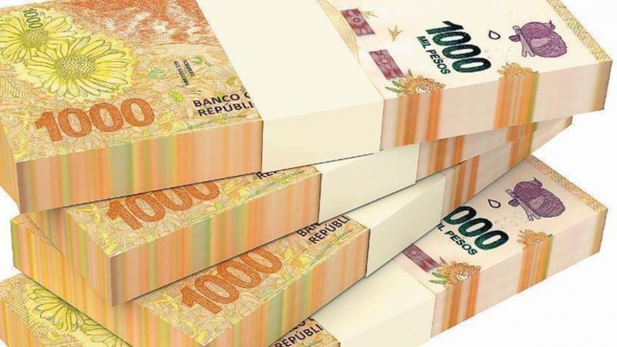 Billetes de 1000 pesos, dinero, pesos argentinos