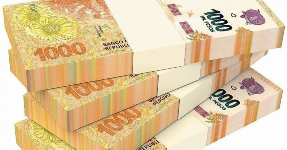 Billetes de 1000 pesos, dinero, pesos argentinos