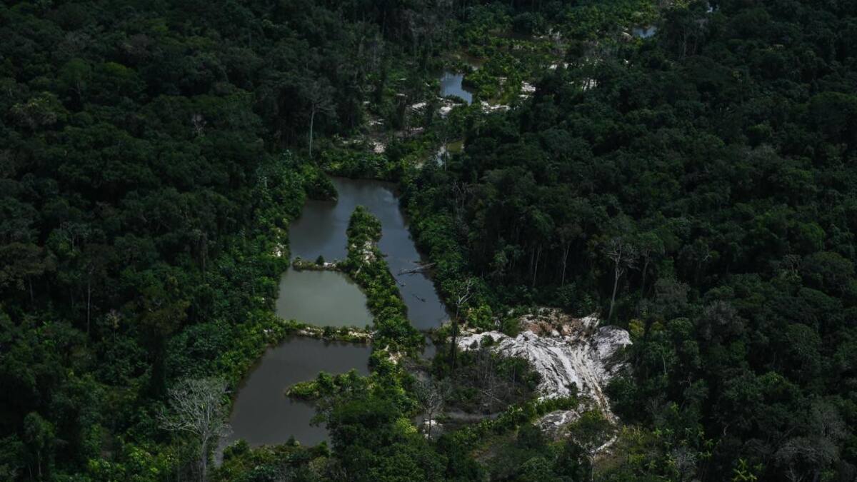 El amazonas. Foto EFE.