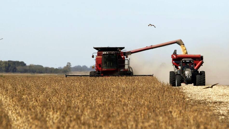 Cosecha de maíz, economía argentina