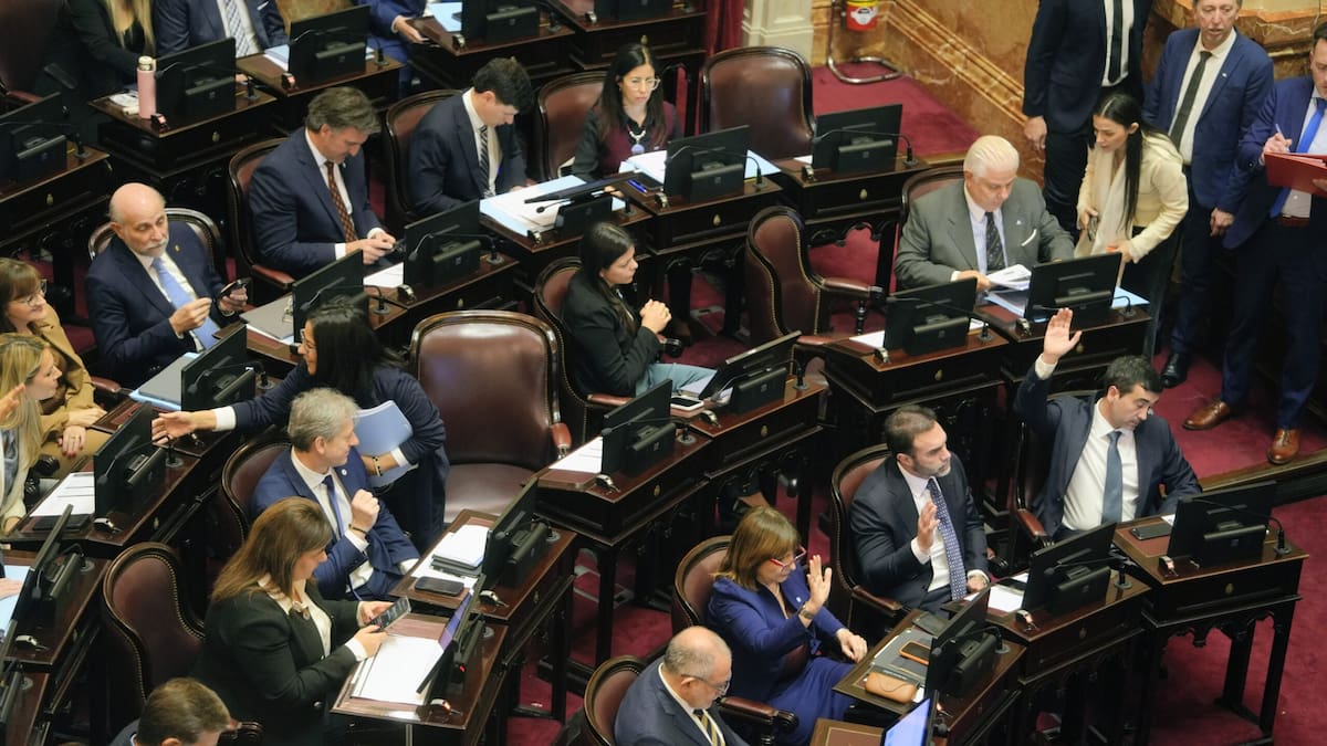 El Senado aprobó el proyecto de Inocencia Fiscal II: sigue el debate por la reforma de biocombustibles