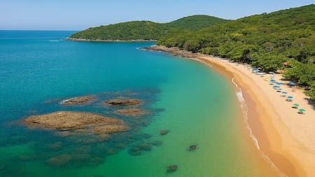 La playa poco conocida de Brasil que enamora con piscinas naturales y tortugas marinas