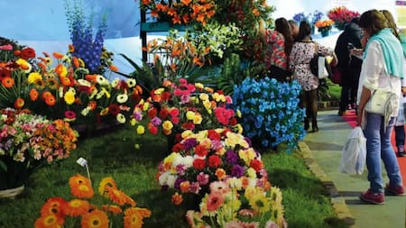 Fiesta Nacional de la Flor en Escobar.