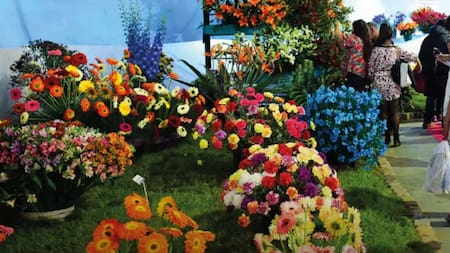 Fiesta Nacional de la Flor en Escobar.