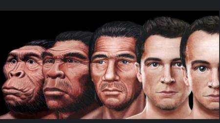 Rostro humano - investigación