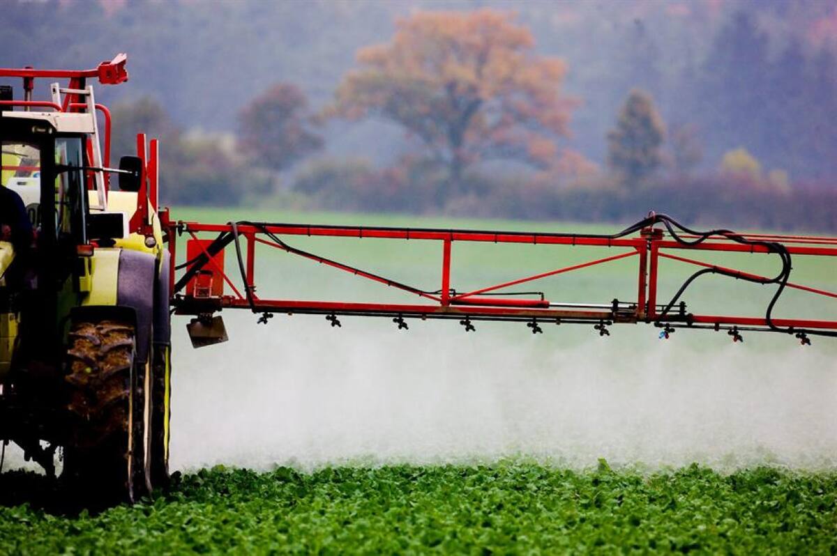 Uso de pesticidas. Foto: EFE