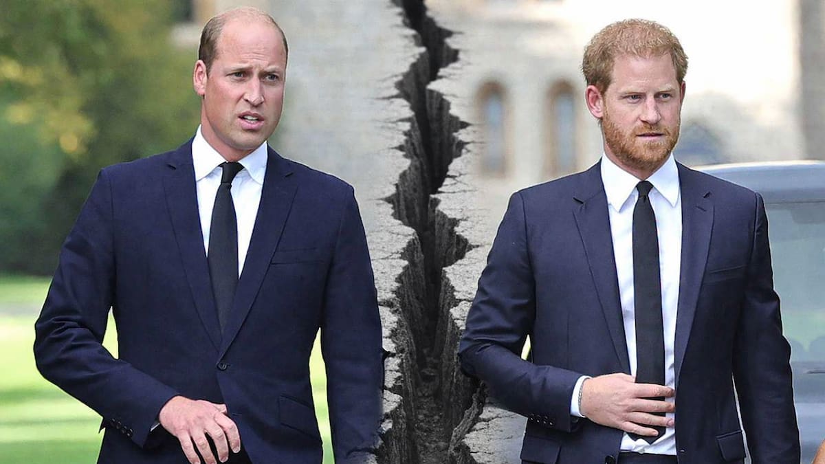 Príncipe William y príncipe Harry de Inglaterra.